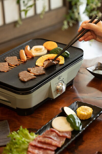 ALADDIN グラファイトミニグリラー CAG-MG7A(G)