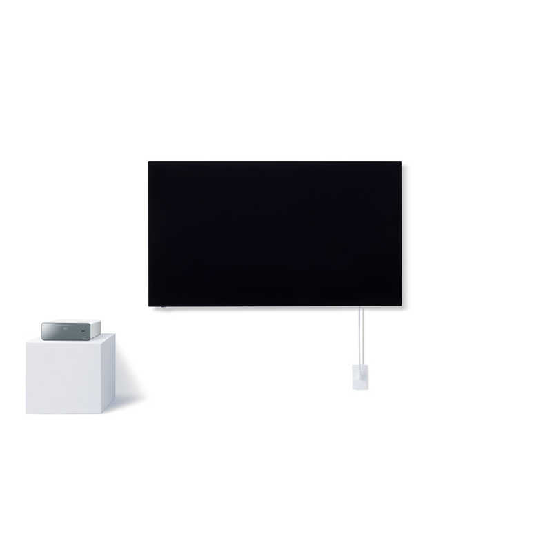 Panasonic 有機ELテレビ VIERA LW1 TH-55LW1