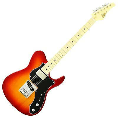 楽天市場】フジゲン Boundary ILIAD BIL2-M-HS Cherry Sunburst