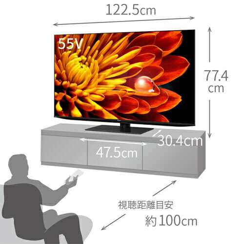 SHARP 4K液晶テレビ AQUOS E EP1 4T-C55EP1