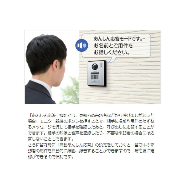 Panasonic どこでもドアホン VL-SWE310KFA