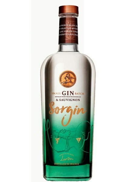 ソルジン ソルジン 700ml