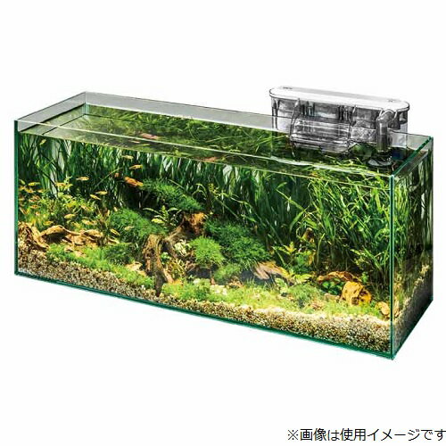 楽天市場】ジェックス GEX グラステリアサイレント900スリム | 価格
