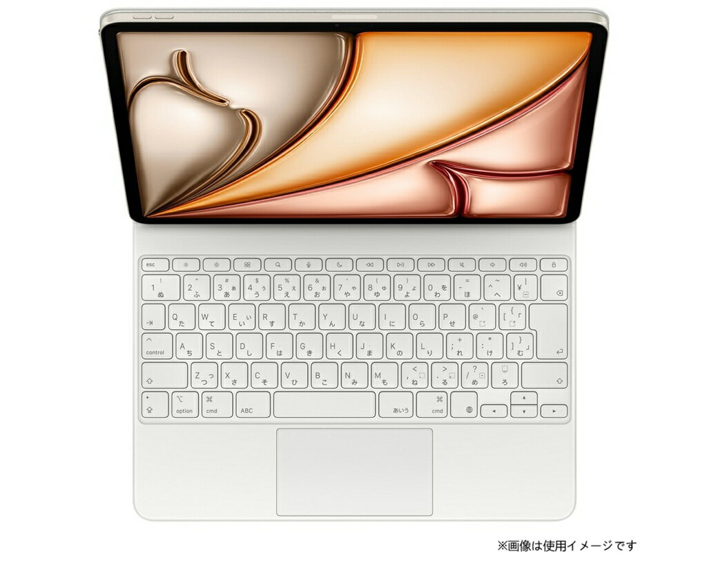 楽天市場】Apple Japan(同) APPLE 11 INCH IPAD PRO MXQT2LLA | 価格