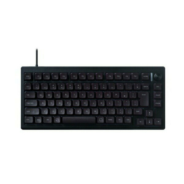 楽天市場】MSY Razer BLACKWIDOW CHROMA 2014 JP ゲーミングキーボード