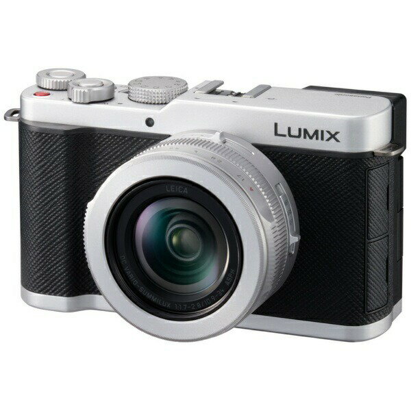 Panasonic LUMIX DC-L10