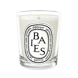 楽天市場】ディプティック キャンドルカバー DIPTYQUE CANDLE LID