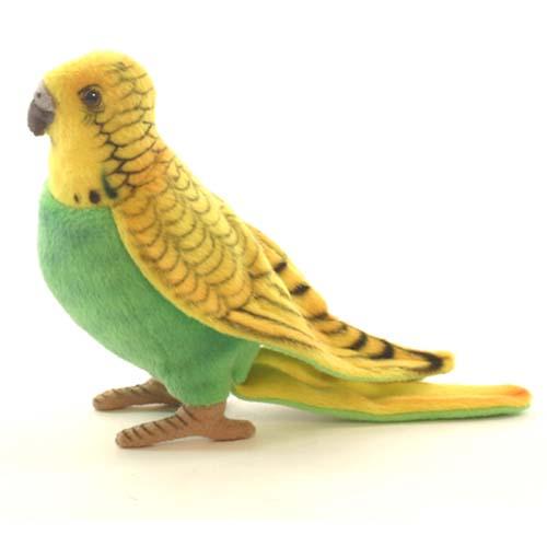 楽天市場】セキセイインコ No．3653 | 価格比較 - 商品価格ナビ