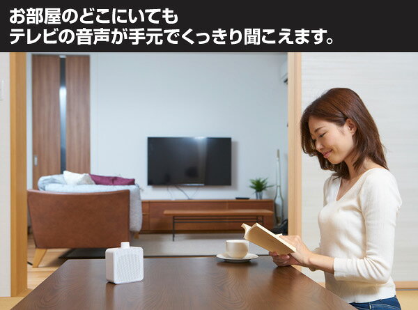 YAMAZEN Qriom お手元テレビスピーカー YWTS-800-W
