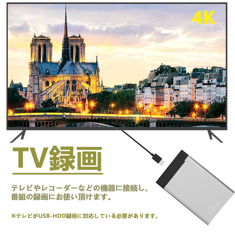 Blueendless 外付けHDD 1TB ポータブル型 HDD-1TB