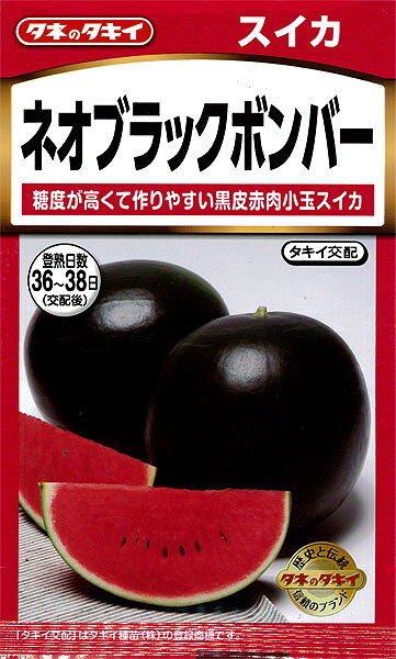 セクンダピーコッキー　抜き苗黒 楽天市場】タキイ種苗 タキイ種苗 野菜種 スイカネオブラックボンバー