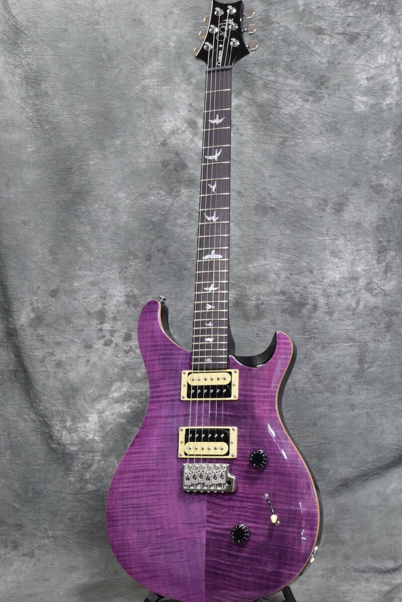 楽天市場】コルグ Paul Reed Smith PRS SE Custom 24 Amethyst ポール