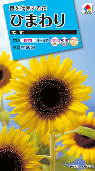 タキイ種苗 ひまわり 太陽