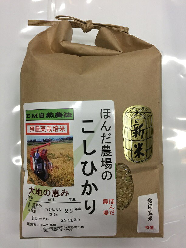 無農薬 食用玄米 大地の恵み