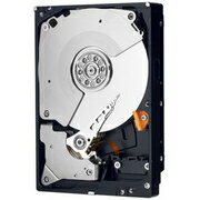 WESTERN DIGITAL 3.5インチ内蔵HDD 1TB SATA/6.0Gb 7200rpm 64MB WD1002FAEX-R