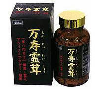 楽天市場】タキザワ漢方廠 片仔廣(へんしこう) | 価格比較 - 商品価格ナビ