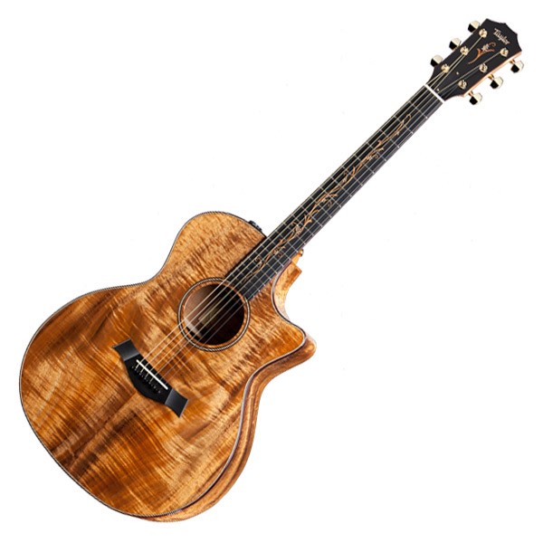 楽天市場】山野楽器 Taylor LTD KENTARO KOBUCHI SIGNATURE 214e
