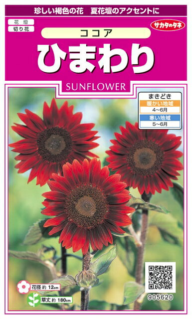 楽天市場】サカタのタネ 花の種 ひまわり(ココア) 品番:905620 | 価格