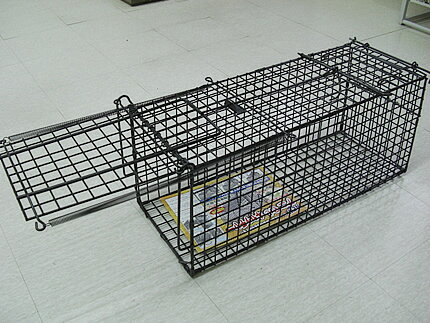 楽天市場】丸十金網 丸十金網 中型動物捕獲器アニマルキャッチャーL型 楽天市場】丸十金網 丸十金網 中型動物捕獲器アニマルキャッチャーL型