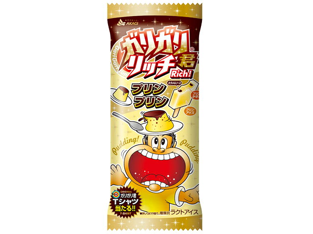 楽天市場】赤城乳業 赤城乳業 ガリガリ君リッチ プリンプリン 110ml