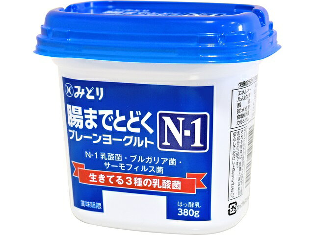 楽天市場】九州乳業 九州乳業 腸まで届く N-1 プレーンヨーグルト 380g