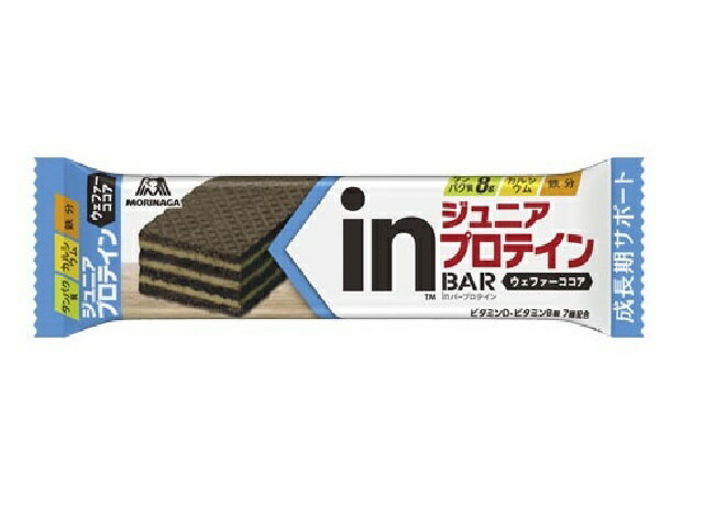 森永製菓 inバージュニア プロテイン ココア 1本
