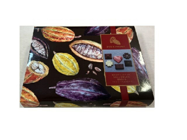 鈴木栄光堂 ポリフォン 12個