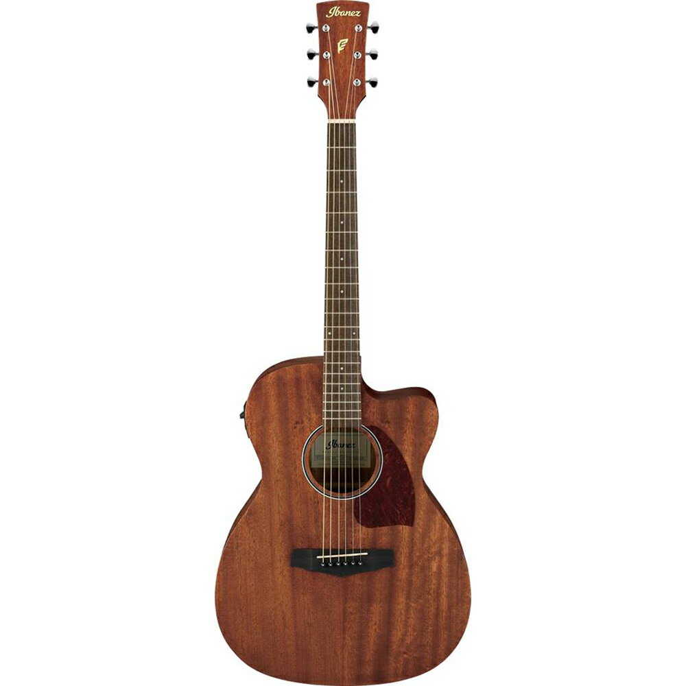 楽天市場】Ibanez AEG10NII TNG 新品[アイバニーズ][エレガット