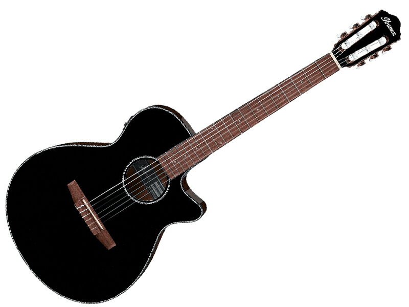 楽天市場】Ibanez AEG10NII TNG 新品[アイバニーズ][エレガット