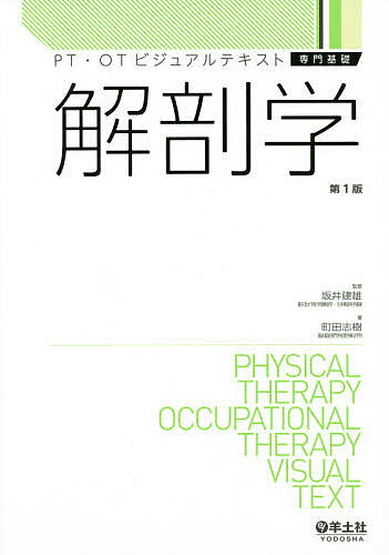 楽天市場】南山堂 解剖学講義/南山堂/伊藤隆（解剖学） | 価格比較