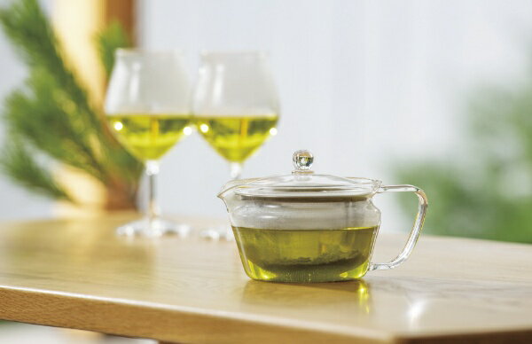 茶茶急須 禅  450ml 実用容量450ml