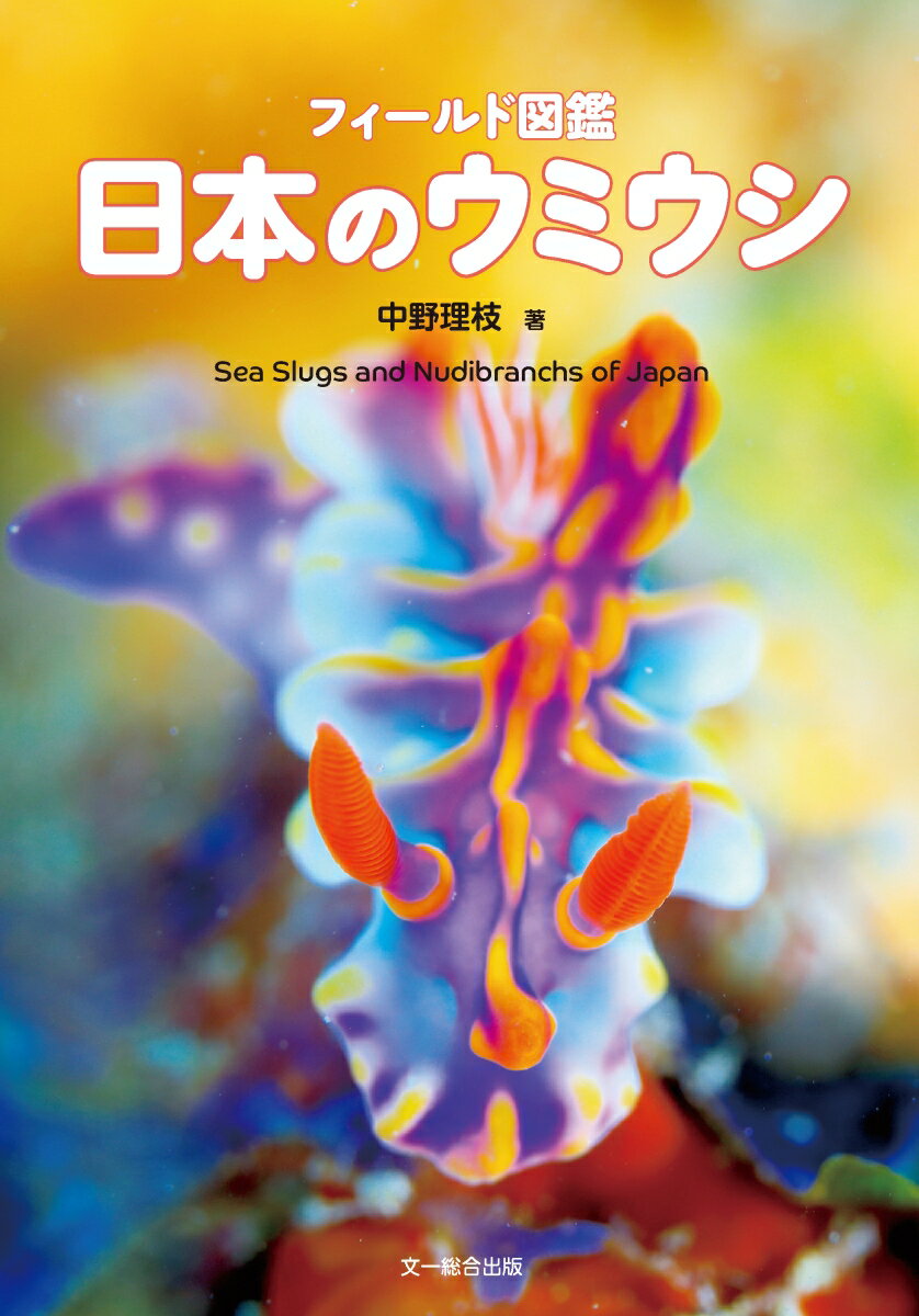 【処分価格】長野県産チョウ類動態図鑑 文一総合出版 処分価格】長野県産チョウ類動態図鑑 文一総合出版