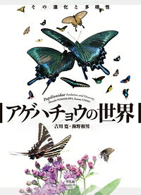 楽天市場】昆虫文献六本脚 世界のアゲハチョウ図説