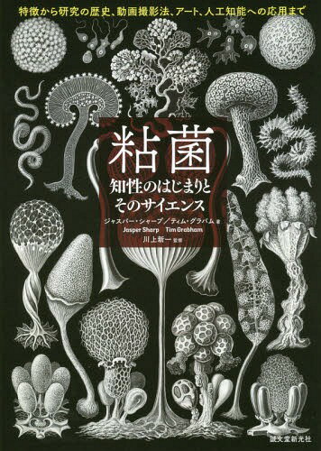 粘菌 驚くべき生命力の謎  /誠文堂新光社/松本淳（粘菌分類学）（大型本） 粘菌: 驚くべき生命力の謎 | 松本 淳, 伊沢 正名 |本 | 通販