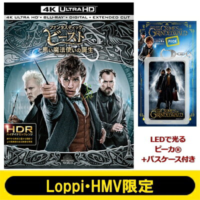 楽天市場】ファンタスティック・ビーストと黒い魔法使いの誕生 4K