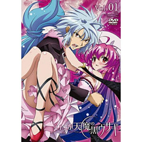いつか天魔の黒ウサギ Vol．1 限定版 鏡貴也 原作 ,立花慎之介 鉄大兎 ,高本めぐみ サイトヒメア ,中村悠一 紅月光 ,磯野智 キャラクターデザイン、総作画監督