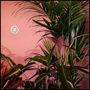 Beaty Heart / Mixed Blessings
