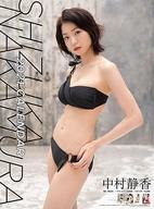 楽天市場】トライエツクス 21カレンダー 中村静香 CL-195 | 価格比較