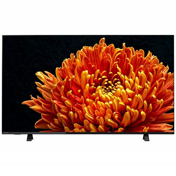 液晶テレビ 55G20X 楽天市場】東芝 TOSHIBA 4K液晶テレビ REGZA G20X 55G20X 55.0インチ