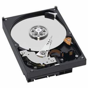 Western Digital 3.5インチ内蔵HDD 1TB SATA6.0Gb/s 7200rpm 64MB WD10EZEX-R