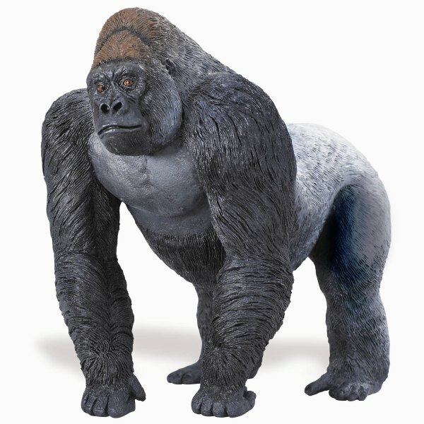 楽天市場】ゴリラ （メス） | 価格比較 - 商品価格ナビ