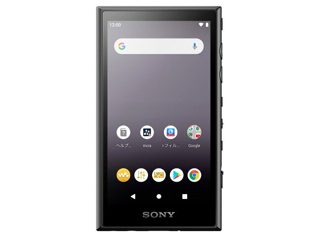 楽天市場】ソニーグループ SONY ウォークマン Aシリーズ NW-A608(L
