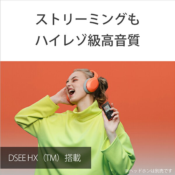 SONY ウォークマン Aシリーズ NW-A106(D)