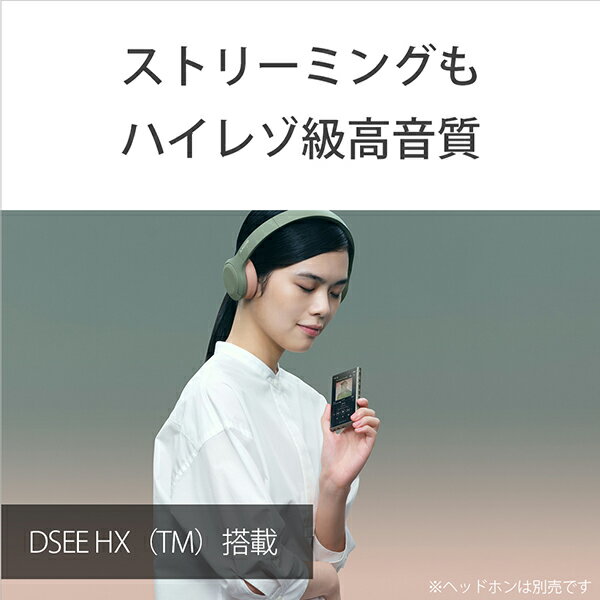 SONY ウォークマン Aシリーズ NW-A106(G)