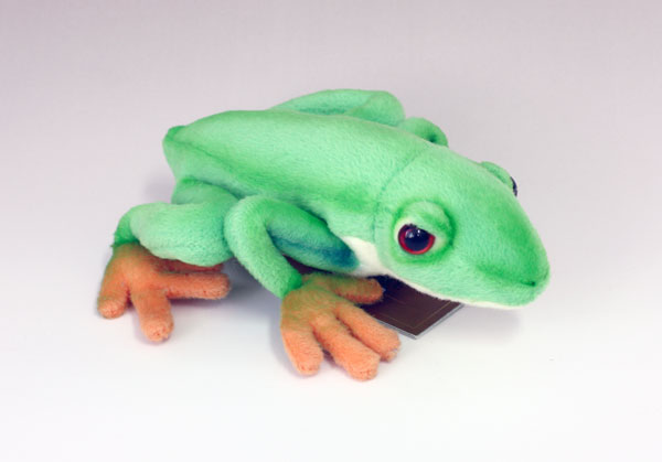 楽天市場】赤目アマガエル ぬいぐるみ アカメアマガエル かえる
