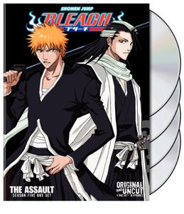 楽天市場】BLEACH ブリーチ TV版 DVD-BOX 完全版2/2 欧州版 | 価格比較