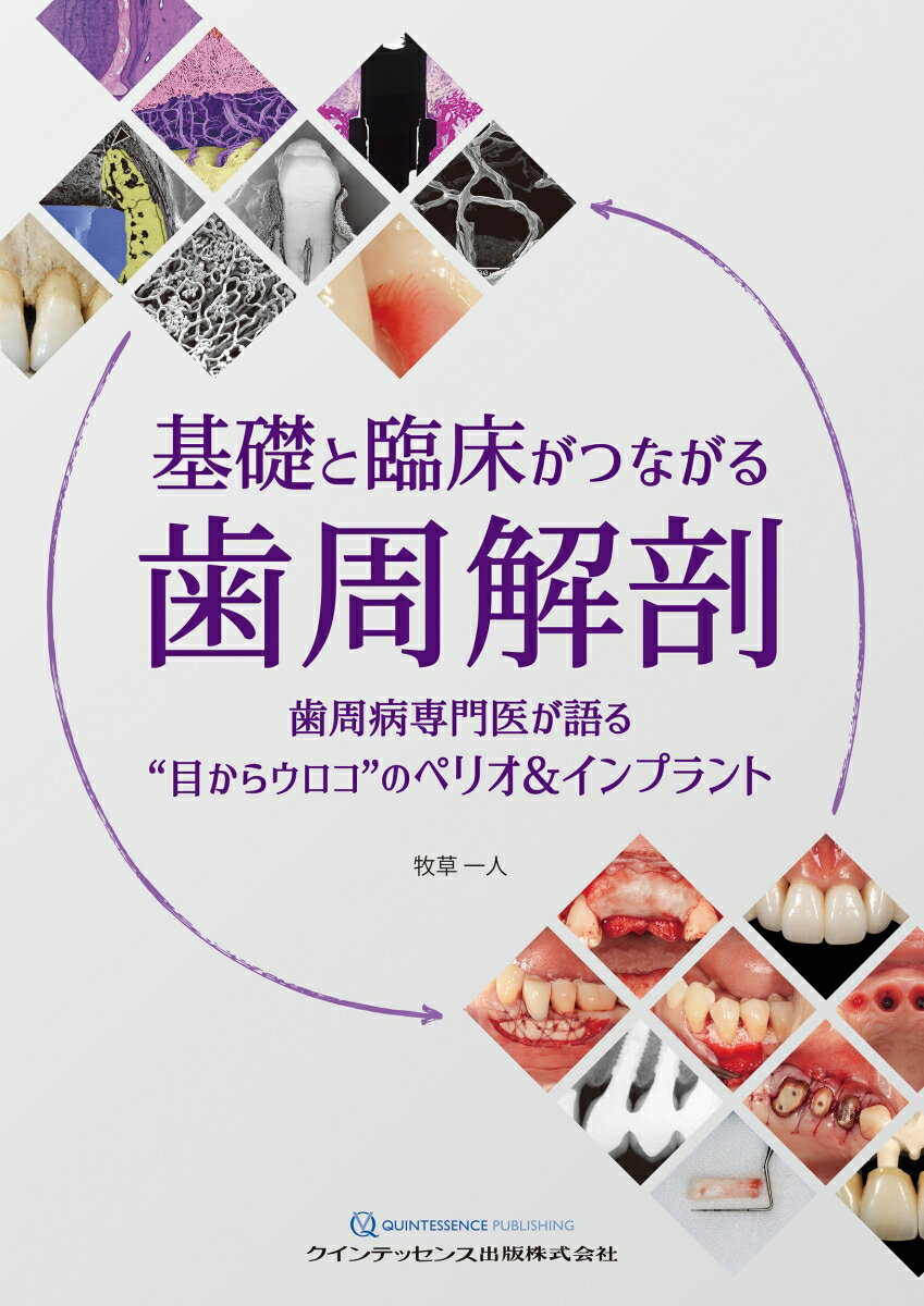 楽天市場】MORPHOLOGY 歯牙形態の類似性 本/雑誌 / 片岡繁夫/著 | 価格
