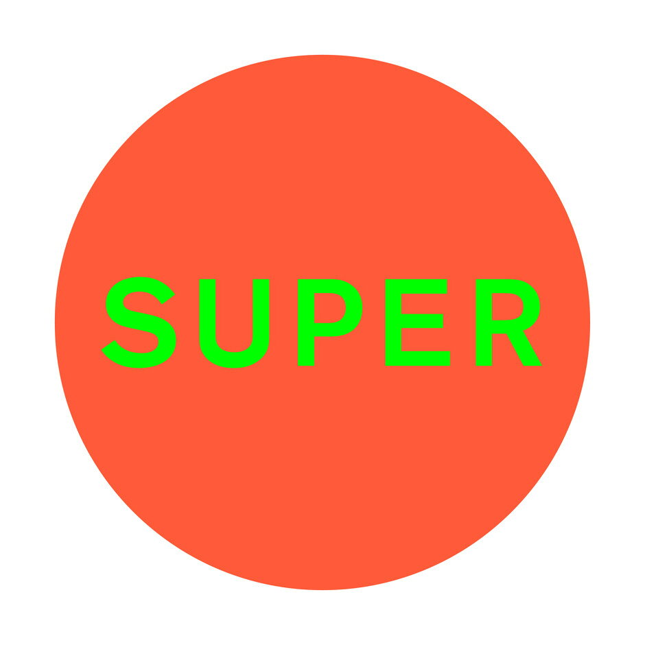 楽天市場】Pet Shop Boys ペットショップボーイズ / Discography 輸入
