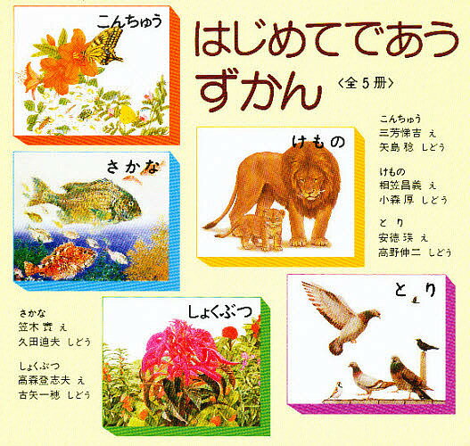 楽天市場】福音館書店 はじめてであうすうがくの絵本 ふしぎなき