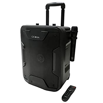 楽天市場】ION AUDIO TAILGATER PLUS | 価格比較 - 商品価格ナビ